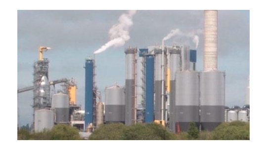 UPM planta
