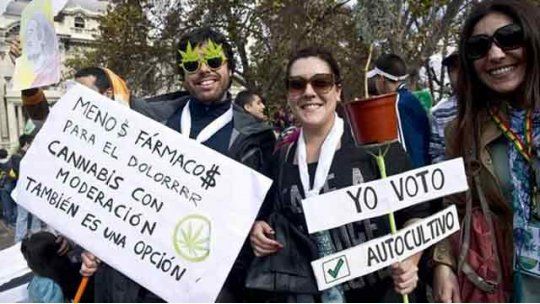 marihuana legalización