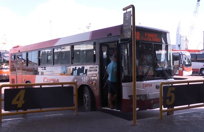 omnibus-transporte-público-terminal.jpg