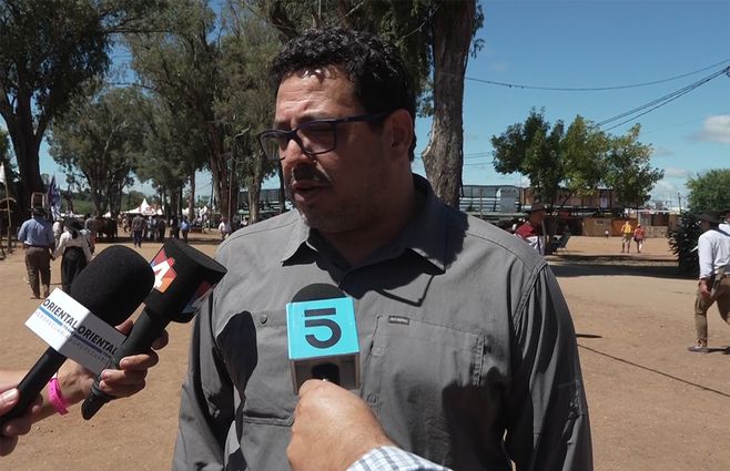 pacha-sanchez-marset