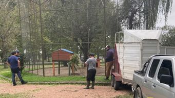 Zoológico de San José. Foto: Intendencia de San José.&nbsp;