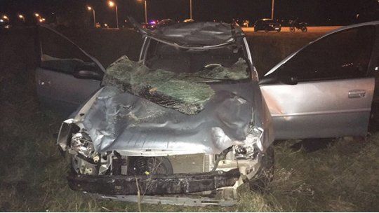 accidente caballo