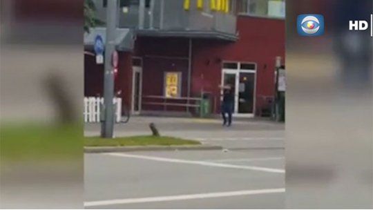 atentado munich