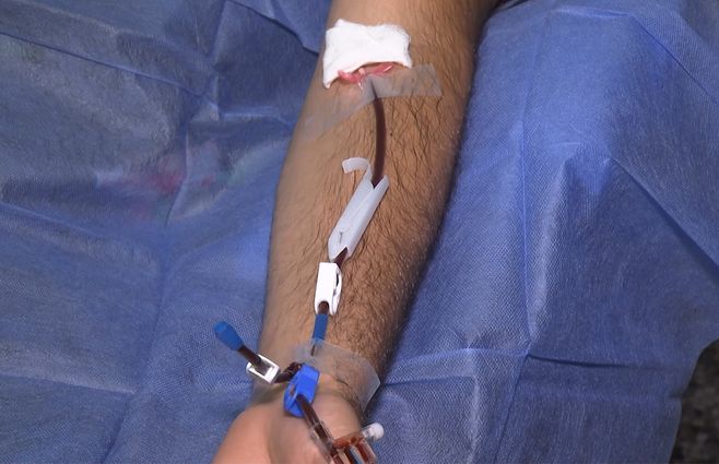 sangre-donacion.jpg