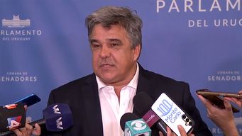 camy presentara proyecto de ley para pagar multas leves de transito con trabajo comunitario