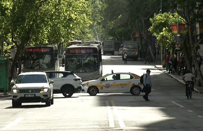 transito-transporte-18-de-julio-taxi-omnibus-servicios.jpg