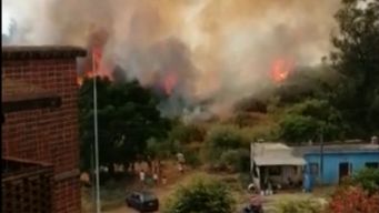controlan incendio metros antes de llegar a casas del barrio las delicias, en minas