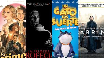 los cuatro recomendados por jackie rodriguez stratta para ver en el cine