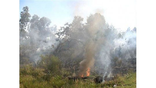 Controlan incendio en Parque del Plata; vecino agredió a Bomberos