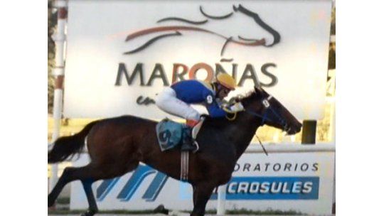 Opresor se adjudicó el clásico Constante Turturiello