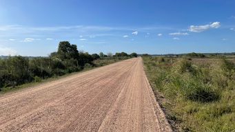 domingo de verano en uruguay: en el norte la temperatura maxima ascendera a 39°c, dice cisneros