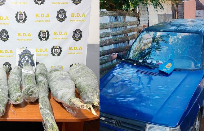 Fotos: Policía de Montevideo.