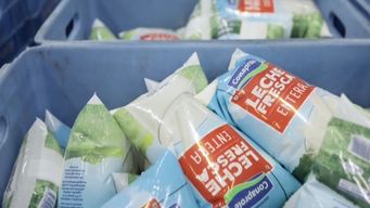 rige un nuevo aumento en el precio de la leche fresca; el litro paso a costar 42 pesos
