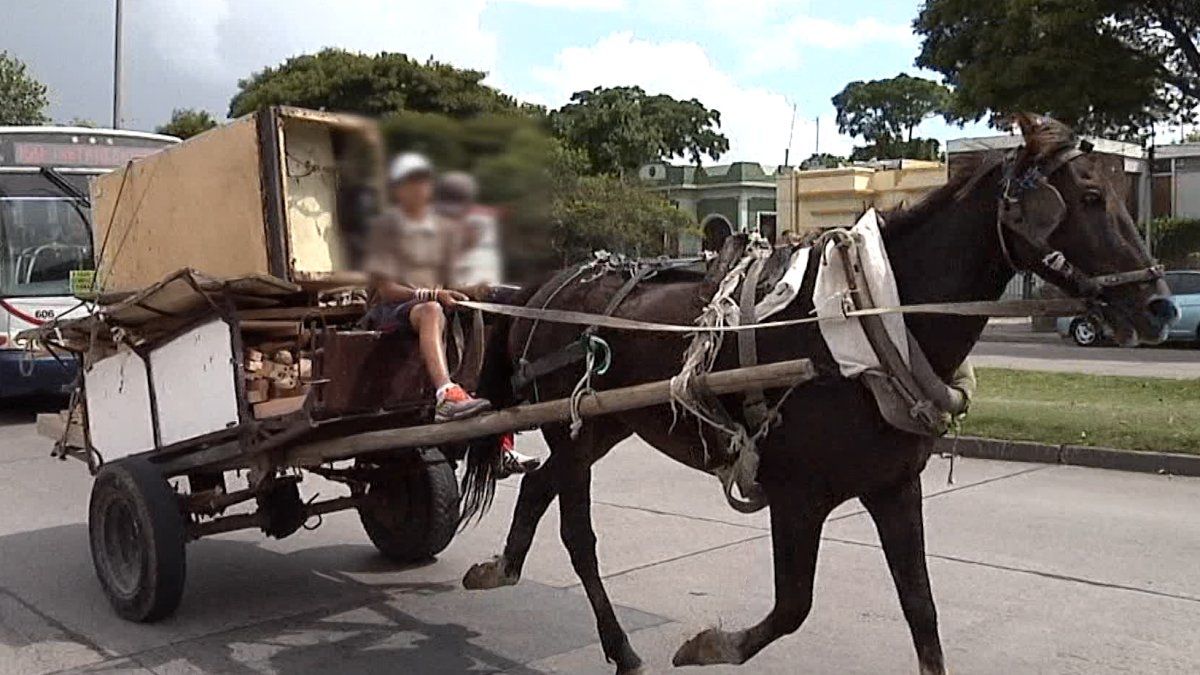 INAU Trabaja En Reforzar Inspecciones Y Actualizar Cifras Sobre Trabajo ...