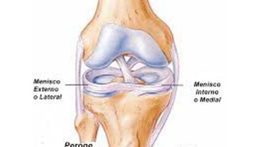 El exarquero Fernando Alvez sufrió una lesión similar a Suárez