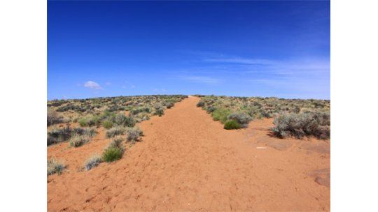 Joven autista sobrevivió más de 3 semanas en desierto de EE.UU