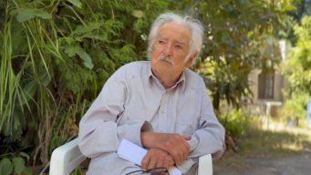 José Mujica en su chacra. Video en Instagram.