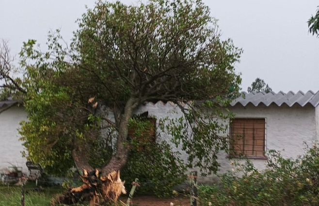 paysandú-temporal-viento