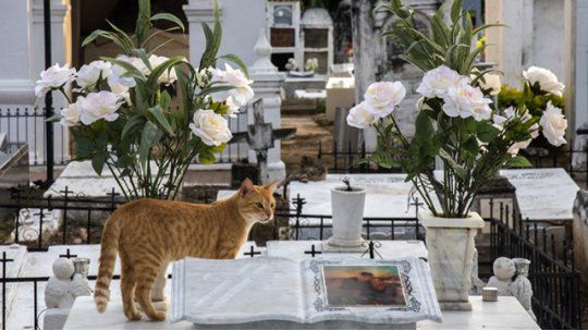 Santa Cruz de Mompox