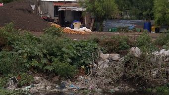 contaminacion en arroyo carrasco: vamos a solicitar un plan de accion que revierta esta situacion insoportable, dijo lema