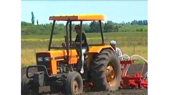Un tercio de tierras cultivables afectada por impuesto al agro