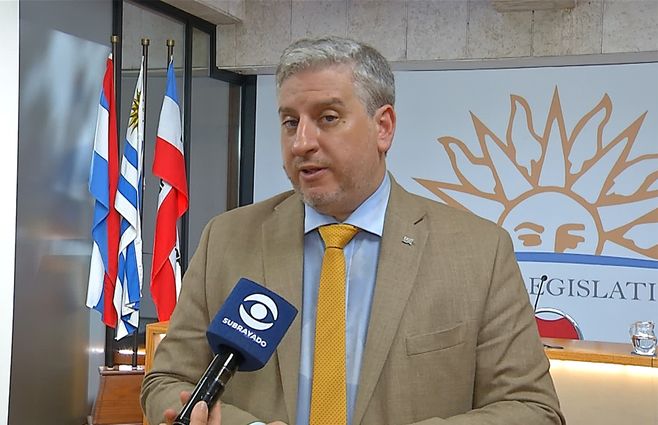 juan-martin-rodriguez-preinvestigadora-diputados