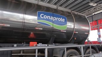 sindicato de conaprole convoca a un paro y se analiza afectar las exportaciones