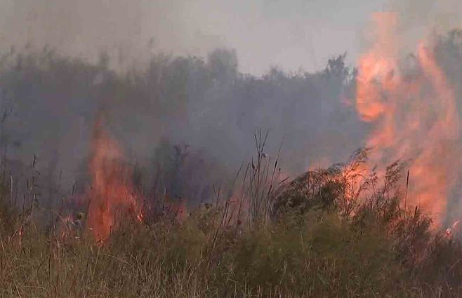 Incendio forestal en Villa San josé está controlado; afectó a un galpón