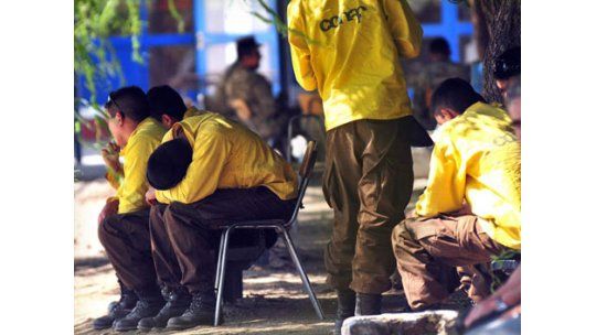 Siete bomberos fallecieron en combate de incendio en sur de Chile