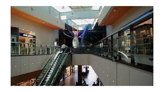shopping