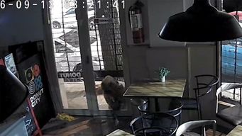 vecinos y comerciantes de punta carretas denuncian incremento de robos a locales y peatones en los ultimos meses