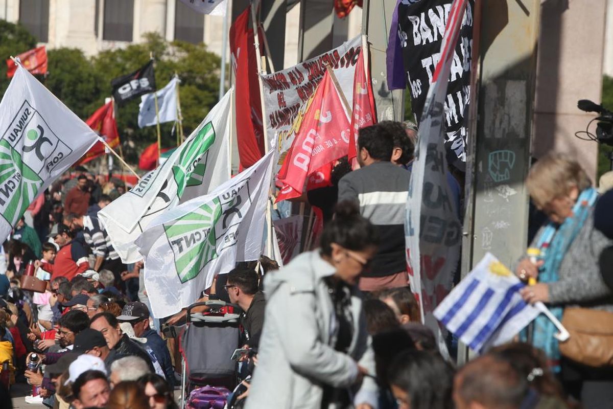 WhatsApp Image 2023-05-01 at 10.39.20 (2).jpeg