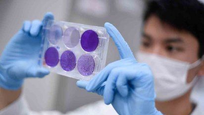 SINAE reportó seis fallecidos por coronavirus y 519 casos nuevos