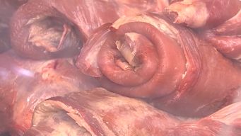 aumento el consumo de carne en uruguay: supera los 100 kg por persona al ano