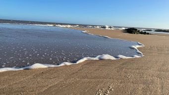 se viene una segunda ola de calor a partir del jueves con maximas que llegaran a los 40°