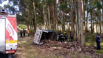 un camionero fallecio tras chocar contra un vehiculo argentino