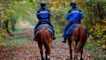 una mujer embarazada muere atacada por una jauria de perros en francia