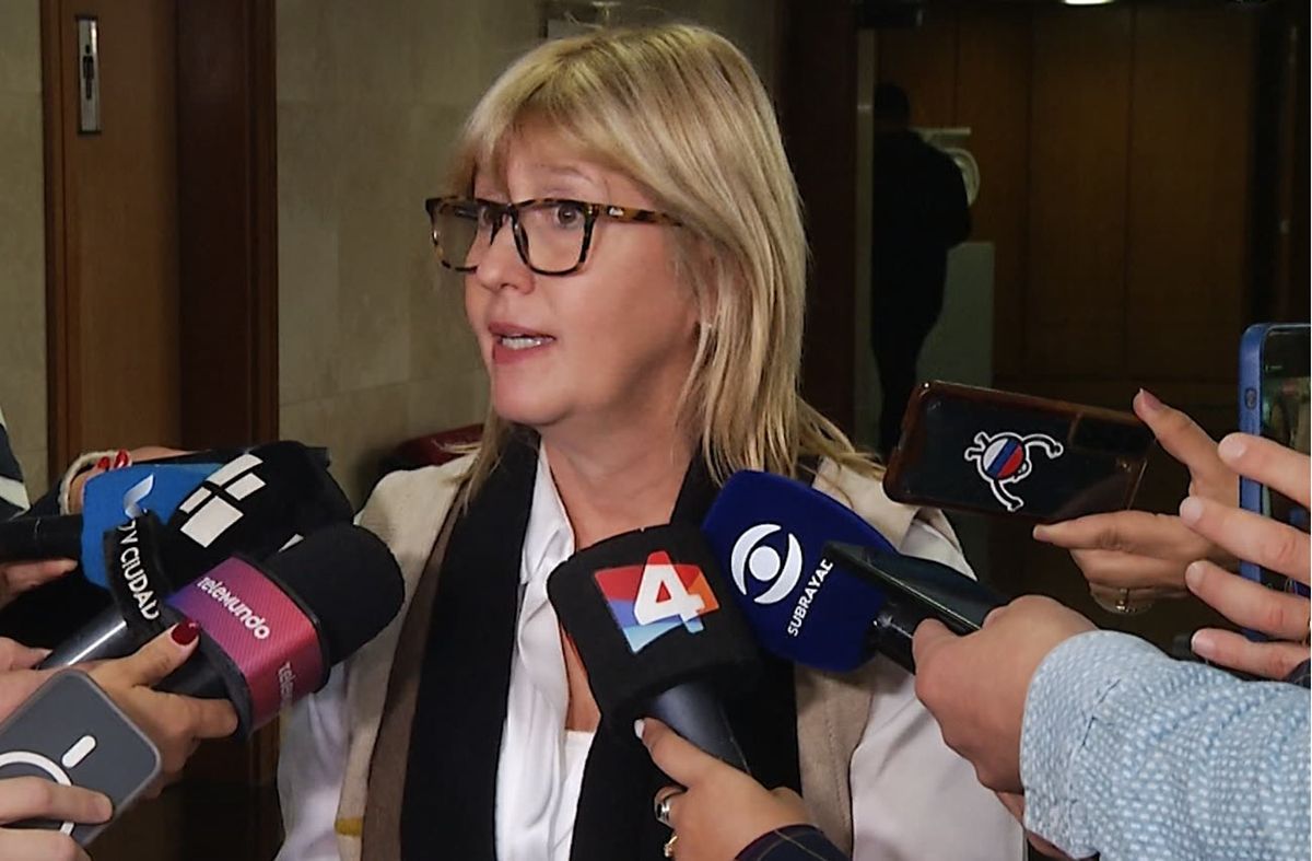 Denuncian a Lustemberg y a anestesista ante el Colegio Médico por caso de pediatra fallecida durante una cirugía