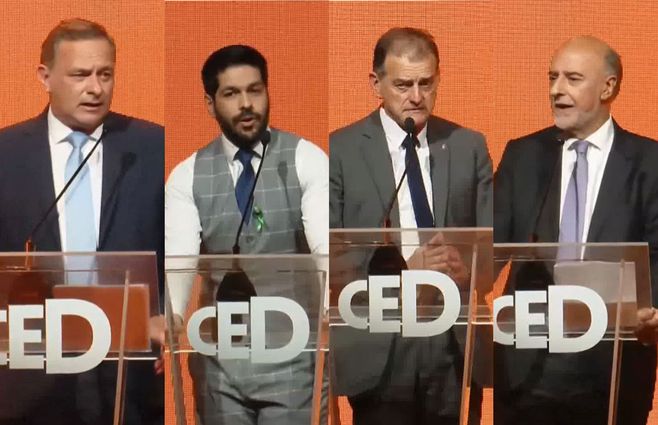 Delgado-Ojeda-Manini-Mieres-en-el-CED.jpg