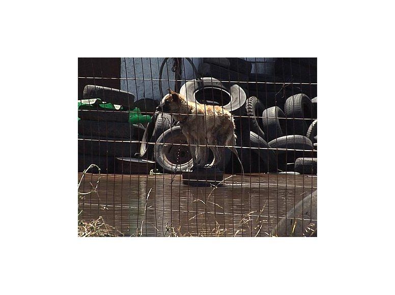 Hay 870 evacuados, 1.400 clientes sin luz y 19 rutas cortadas