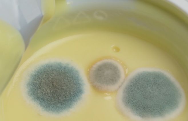 Inocuidad alimentaria ante las altas temperaturas en verano. IMM recibe denuncias.&nbsp;