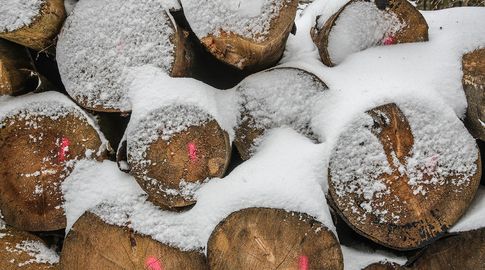 Nubel Cisneros anunció que el domingo puede nevar: Es muy probable que pueda ocurrir lo mismo