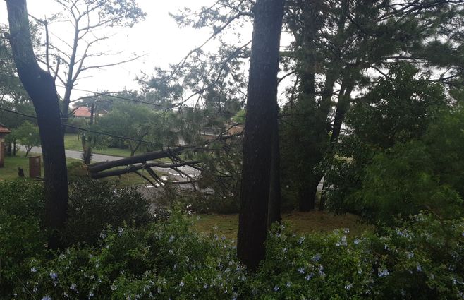 tormenta piriapolos (1).jpeg