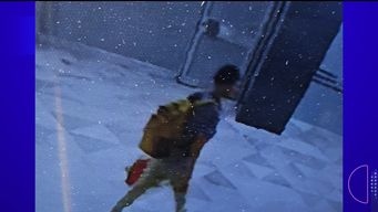 identificaron a uno de los delincuentes que robo en la direccion general de registros