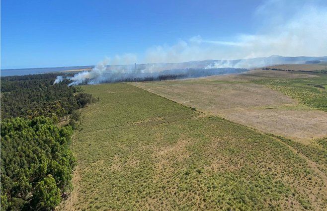 Vista aérea del incendio en Laguna del Sauce (Maldonado) este lunes. Foto: Fuerza Aérea.