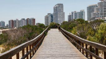 Foto: FocoUy. Punta del Este.