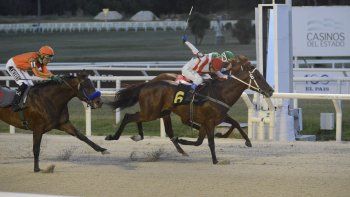 Subrayado | MICRO TURF 3 D DIC