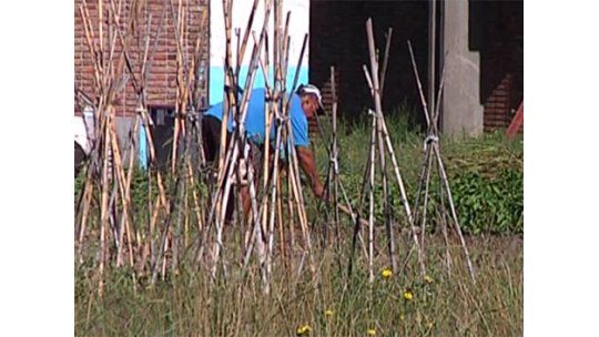 Reclusos trabajarán tierras del Instituto de Colonización