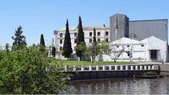 molino dolores