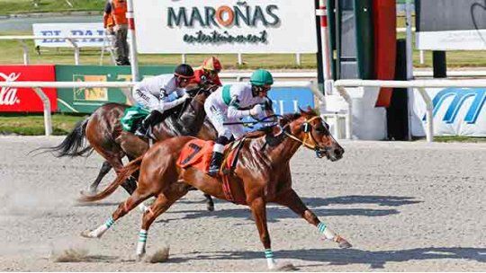 Sub Rest: Suma y sigue